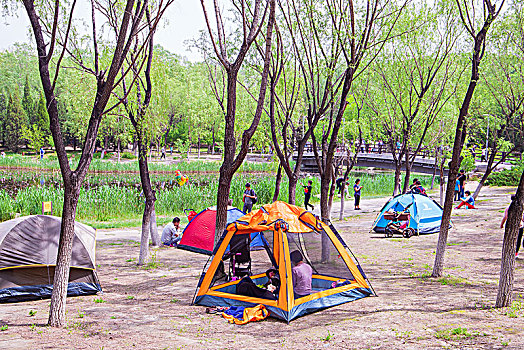 春天在北京奥林匹克森林公园露营的人