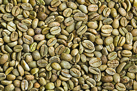 绿色,咖啡豆