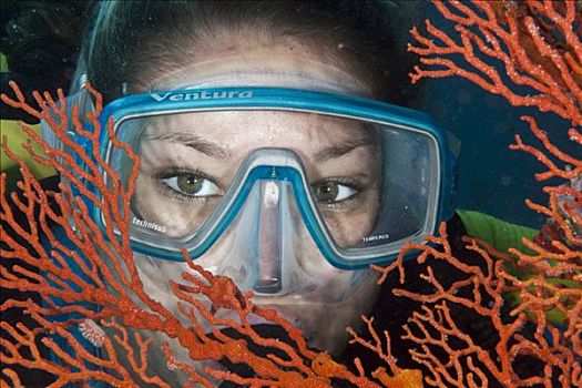 潜水,后面,柳珊瑚目,看镜头,印度尼西亚,东南亚