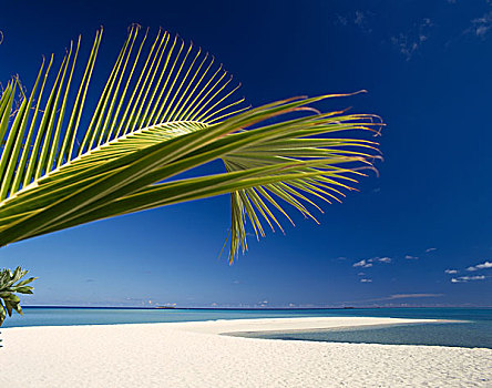 热带海岛,海滩风景,马尔代夫,印度洋