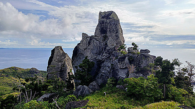 风景,大,石头,围绕,草地,灌木丛,海洋,背景,斐济