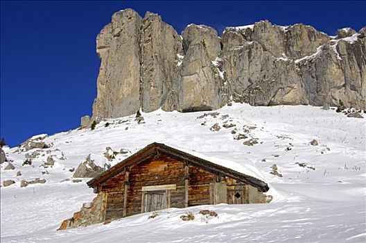 冬季,顶峰,旅游,阿尔卑斯山,瑞士