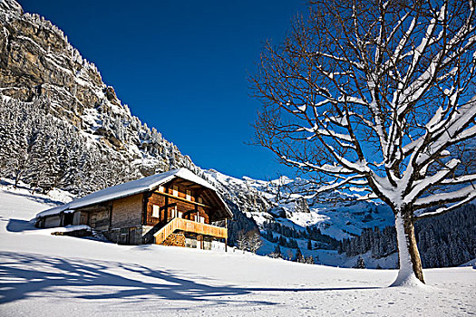 大雪,局部,世界遗产,背景,攀升,瑞士