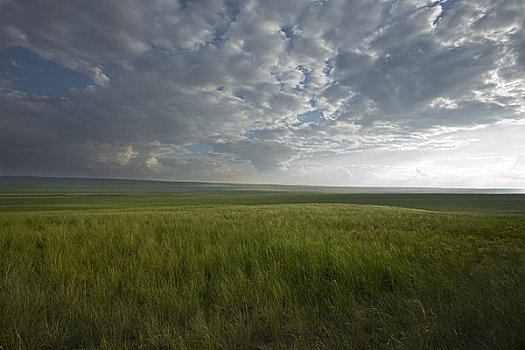 俯视,地点,蒙古,中国