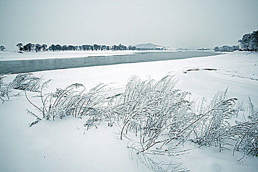 吉林雾凇岛雪景