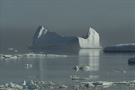 冰山,湾,巴芬岛,加拿大