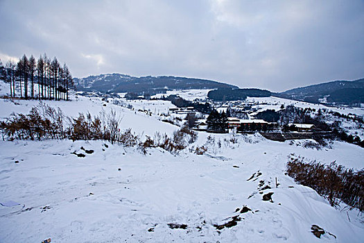 雪乡,雪村,吉林,临江市,村庄,山村,乡村,冬季,雪野,寒冷,农家,接待,旅游,松岭,东北,风情