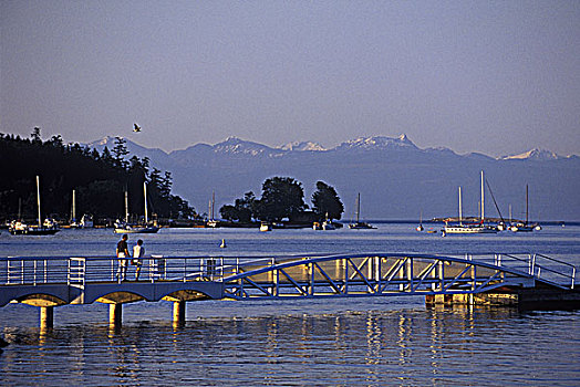 穿过,桥,公用,漂浮,温哥华岛,不列颠哥伦比亚省,加拿大