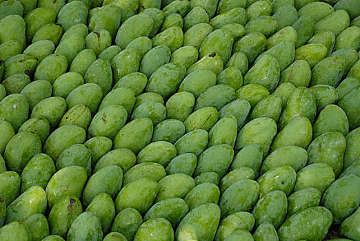 芒果,流行,夏季水果,孟加拉,六月,2008年