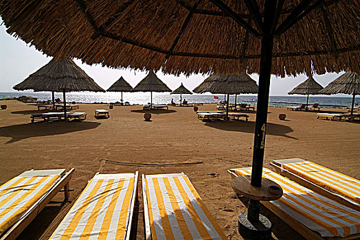 埃及,西奈半岛,喜来登酒店,海滩,目的地,沙滩,酒店,折叠躺椅,伞,红海,概念,度假