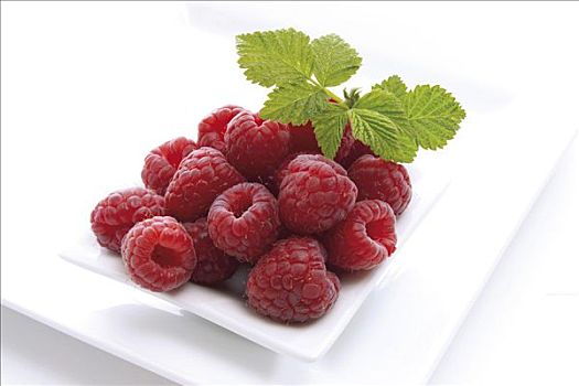树莓,小,盘子