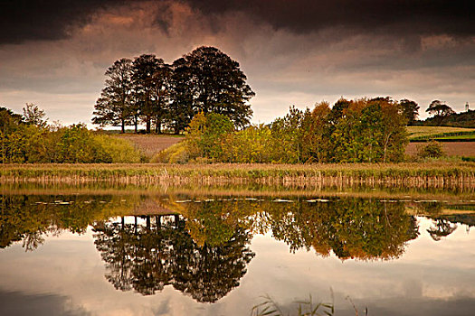 树,反射,水,苏格兰边境,苏格兰