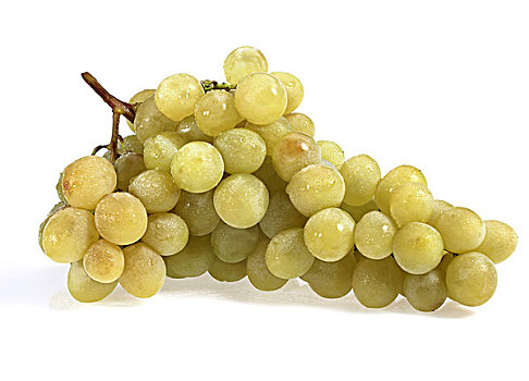白葡萄,葡萄,酿酒葡萄,水果,白色背景