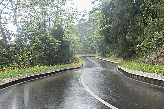 鲜花公路