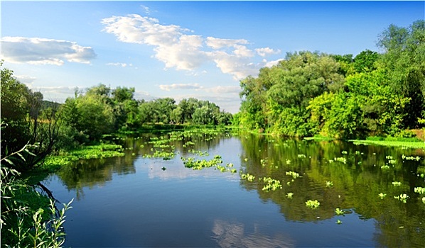 河,夏天