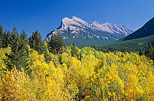 秋色,伦多山,班芙国家公园,艾伯塔省,加拿大