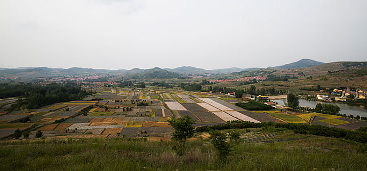 山上的田地