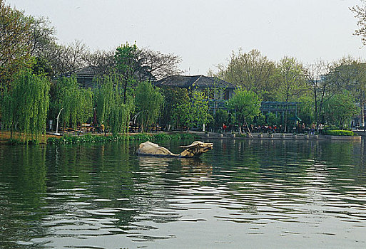 杭州西湖金牛池