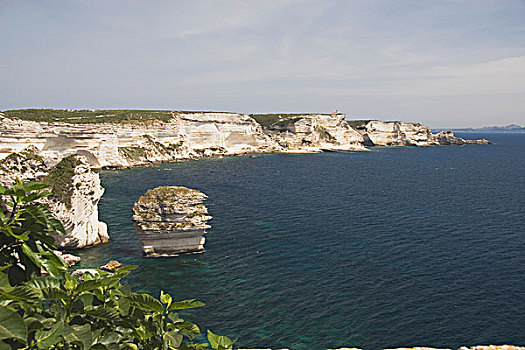 悬崖,地中海,博尼法乔,科西嘉岛,法国