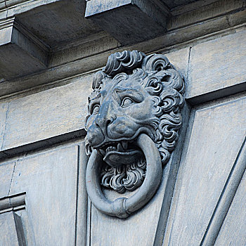 门叩,图像,狮子,斯德哥尔摩,宫殿,瑞典