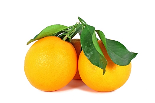 两个,成熟,橘子