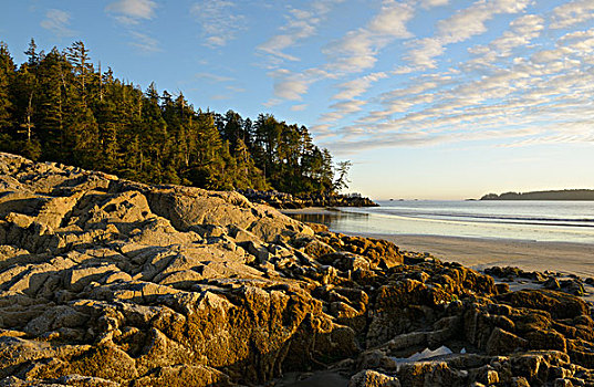 加拿大,不列颠哥伦比亚省,温哥华岛,石头,海滩,日落,大幅,尺寸
