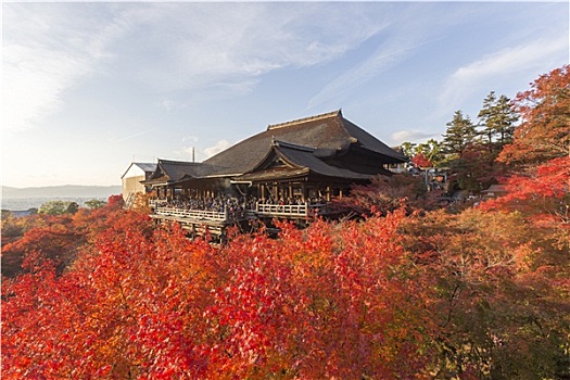 清水寺,京都,日本