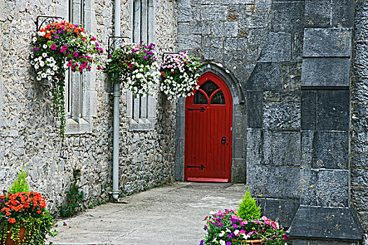 爱尔兰,红色,入口,寺院