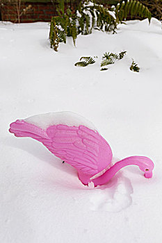 塑料制品,火烈鸟,庭院装饰,围绕,雪