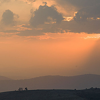 日出,上方,风景,加利利地区,以色列