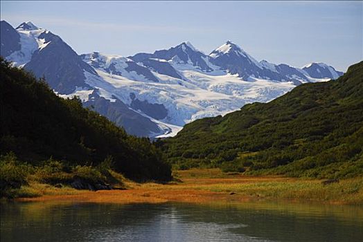 秋天,景色,峡湾,冰河,背景,威廉王子湾,阿拉斯加