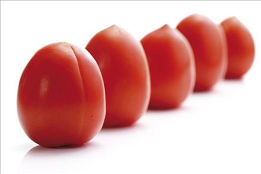 犁形番茄,遗产蕃茄,品种,番茄