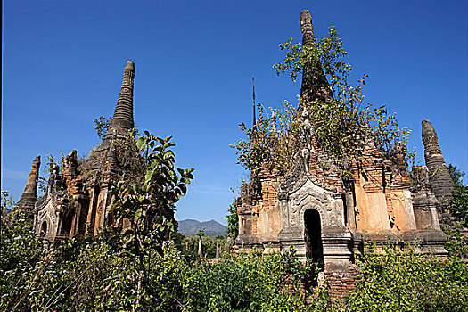 塔,树林,佛塔,靠近,茵莱湖,掸邦,缅甸,亚洲