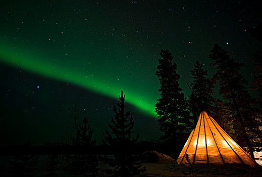 光亮,圆锥形帐篷,北方,极光,北极光,绿色,靠近,育空地区,加拿大