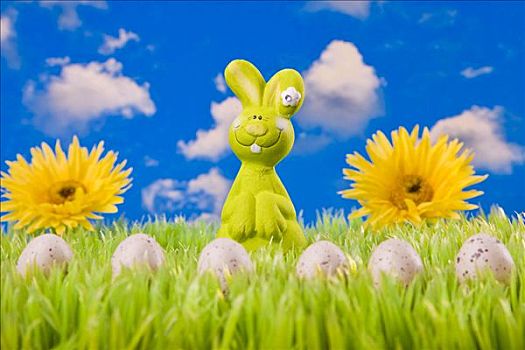 复活节兔子,牧场,复活节彩蛋,花,背景