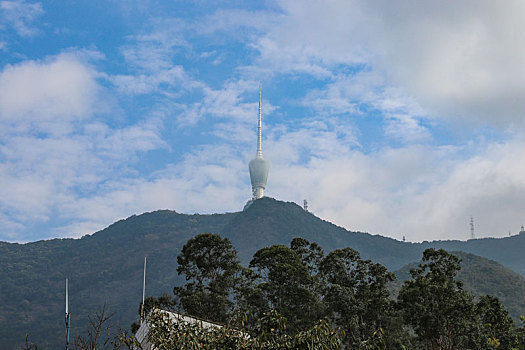 深圳市梧桐山景观