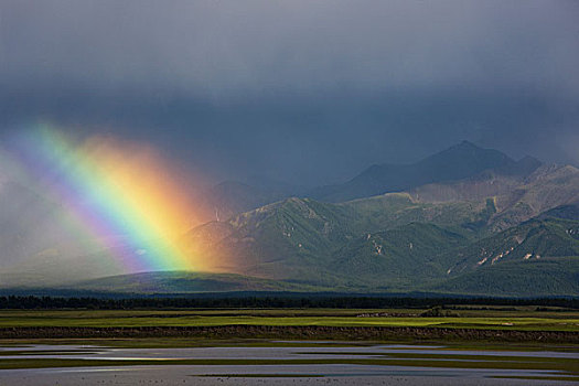 彩虹,上方,草原,蒙古