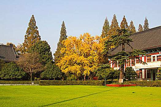 南京师范大学