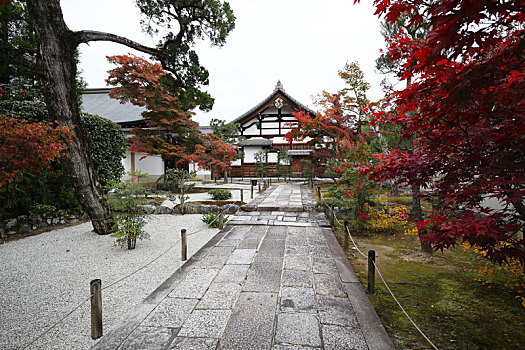 日本京都岚山