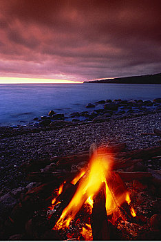 营火,温哥华岛,不列颠哥伦比亚省,加拿大