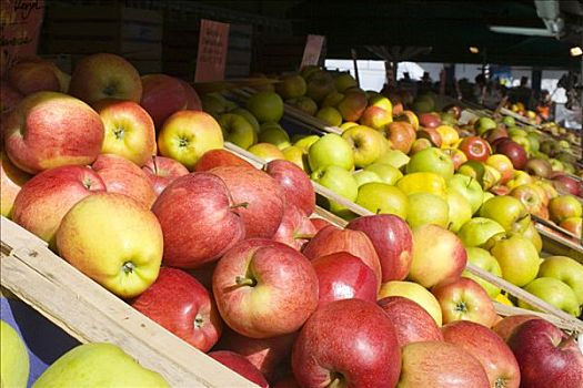 苹果,售出,水果摊,维克托阿灵广场集市,市场,慕尼黑,巴伐利亚,德国