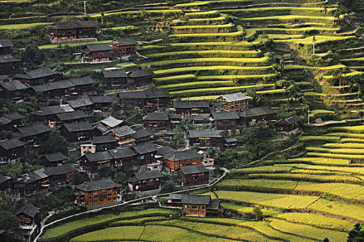 贵州雷山县西江千户苗寨