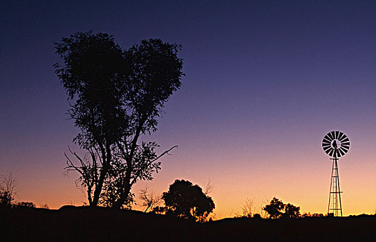 剪影,工业风车,树,卡瑞吉尼国家公园,西澳大利亚,澳大利亚