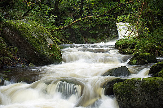 河,瀑布,树林,威尔士