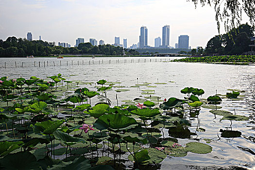 南京玄武湖