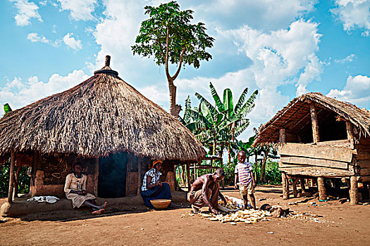 传统,工作,部族,乡村,非洲,伊丽莎白女王国家公园,西部,乌干达
