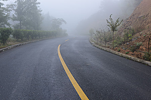 浓雾道路