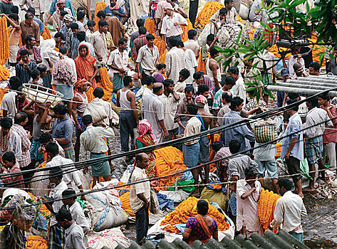 花市,加尔各答,印度