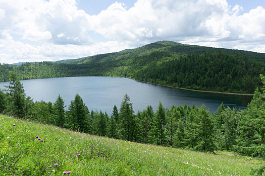 阿尔山,森林,湖泊