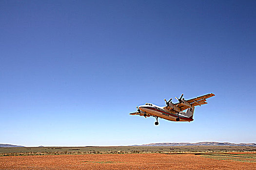 肯尼亚,马赛马拉国家公园,飞机
